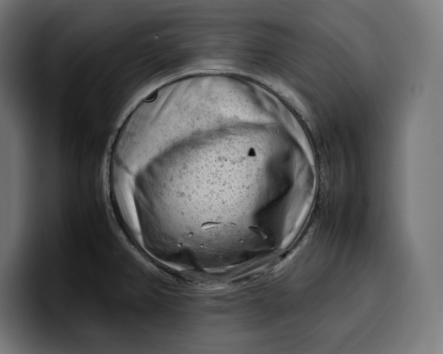 X0000099981382200806131350