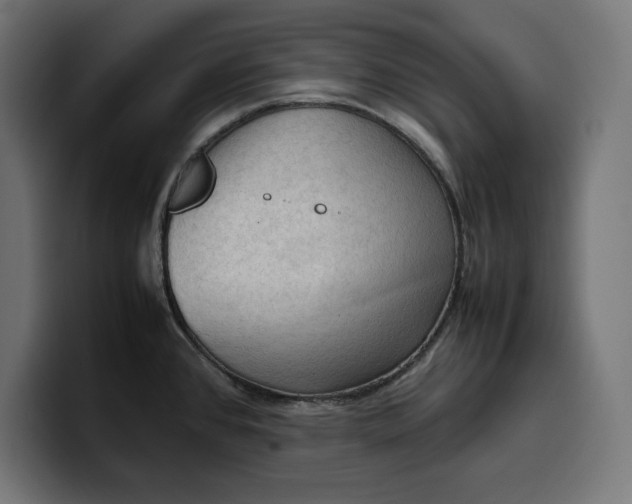 X0000099981384200806131350