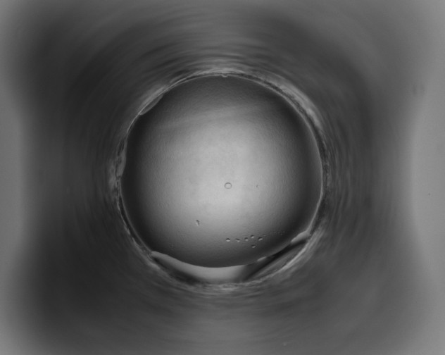 X0000099981385200806131350