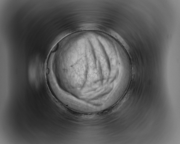 X0000099981386200806131350