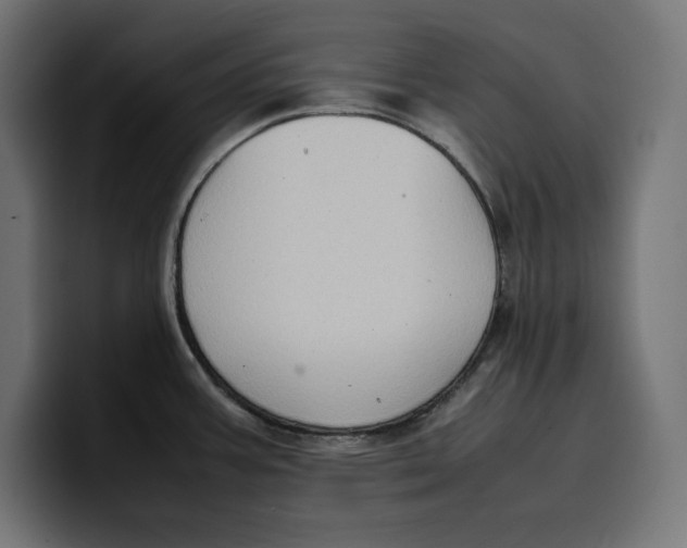 X0000099981387200806131350