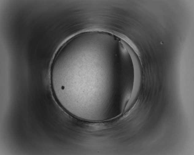 X0000099981388200806131350