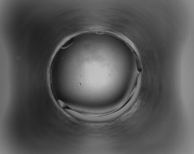 X0000099981389200806131350