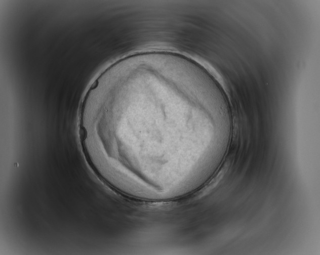 X0000099981390200806131350