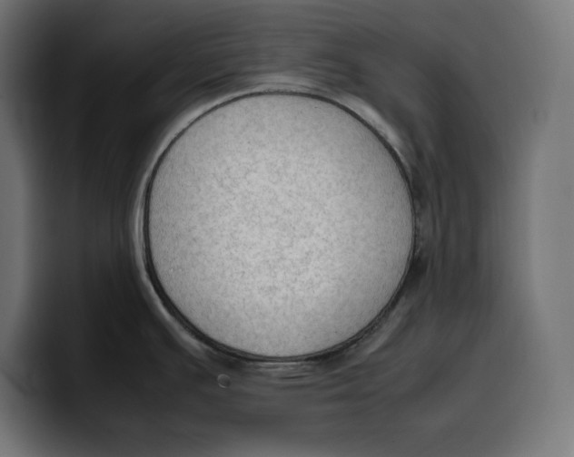 X0000099981391200806131350