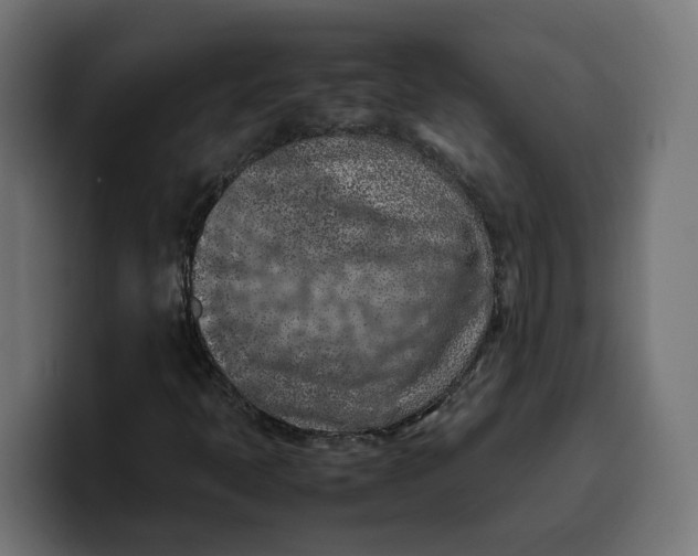 X0000099981397200806131350