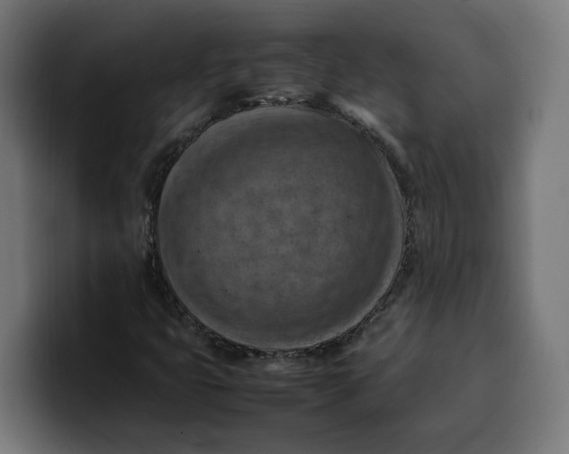 X0000099981399200806131350