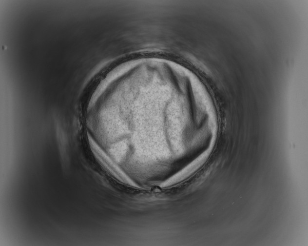 X0000099981400200806131350