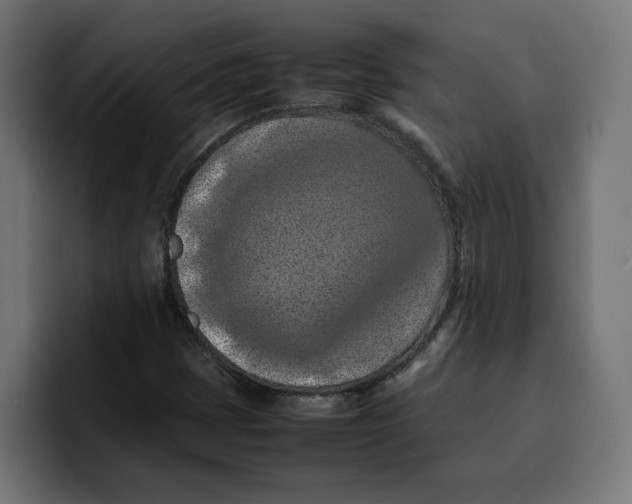 X0000099981401200806131350