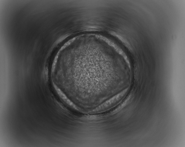 X0000099981402200806131350