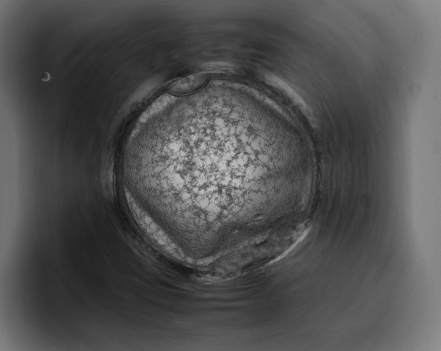 X0000099981403200806131350