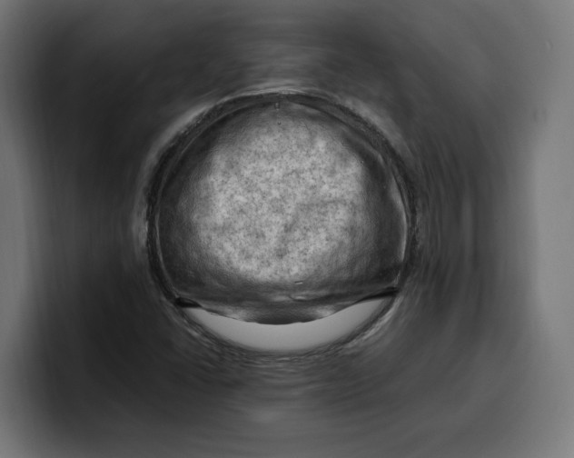 X0000099981406200806131350