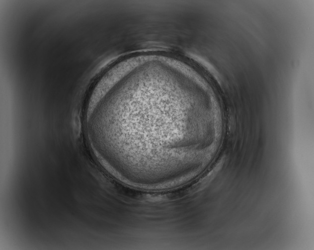 X0000099981407200806131350