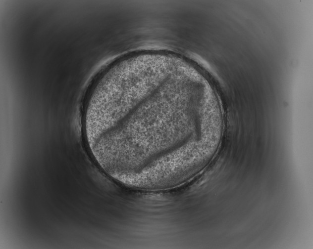 X0000099981408200806131350