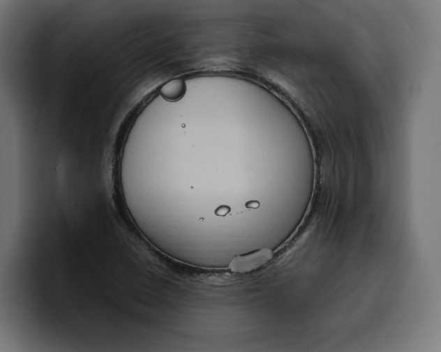 X0000099981410200806131350