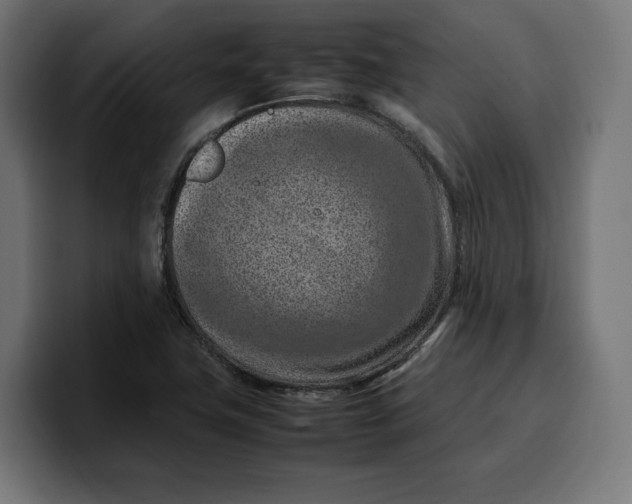 X0000099981411200806131350