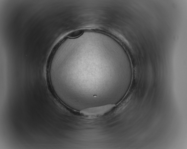 X0000099981412200806131350