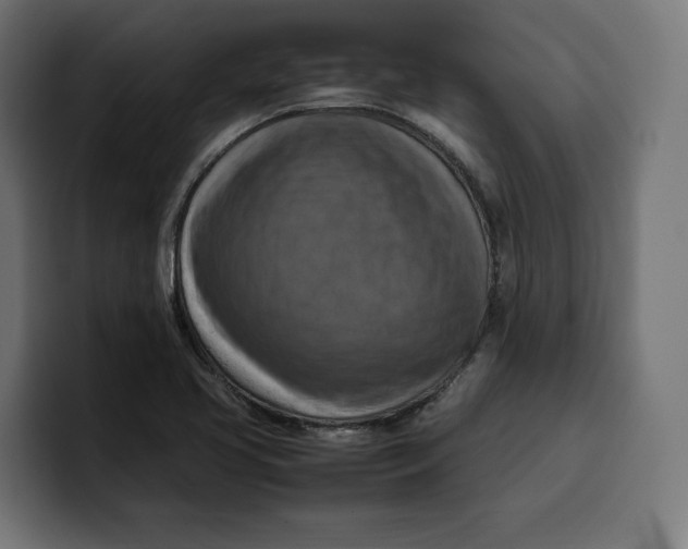 X0000099981413200806131350