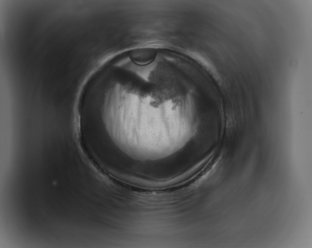 X0000099981414200806131350