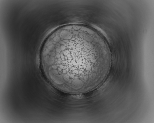 X0000099981415200806131350