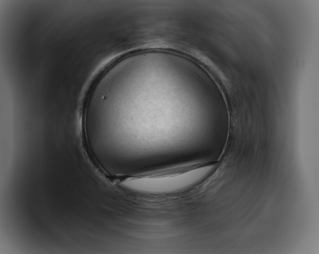 X0000099981416200806131350