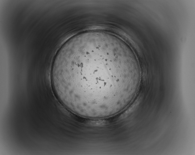 X0000099981417200806131350