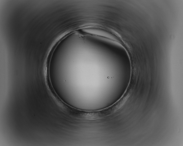 X0000099981418200806131350