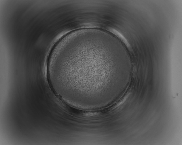 X0000099981419200806131350