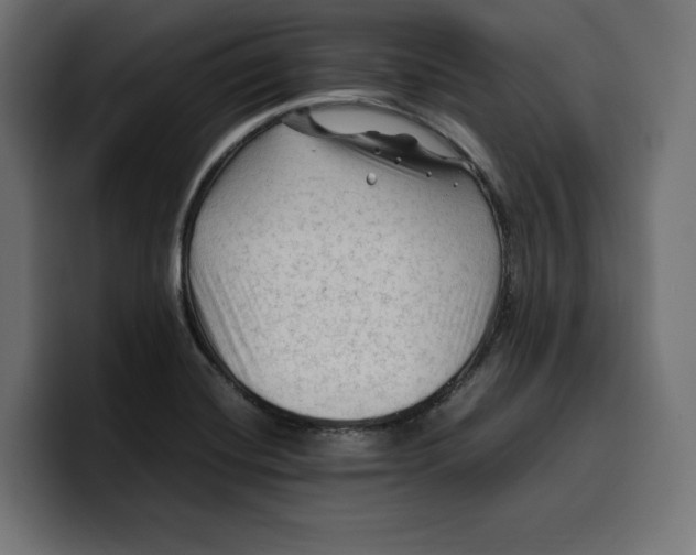 X0000099981420200806131350