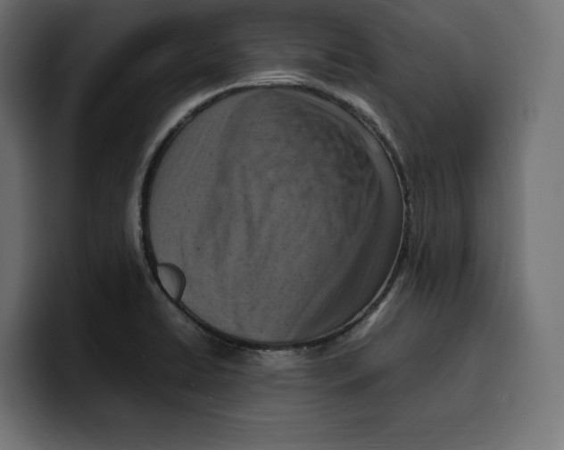 X0000099981422200806131350