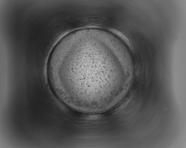 X0000099981423200806131350