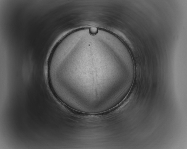 X0000099981424200806131350