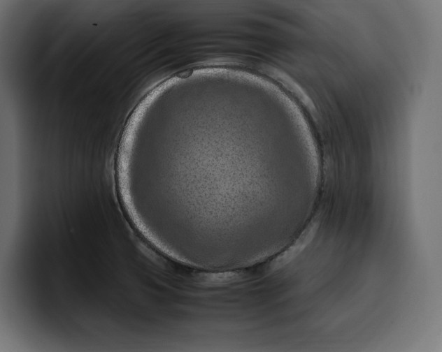 X0000099981425200806131350