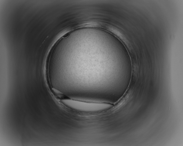 X0000099981426200806131350