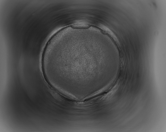 X0000099981427200806131350