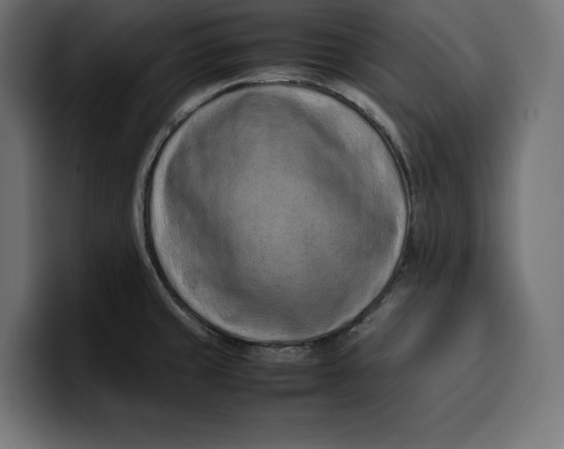 X0000099981429200806131350