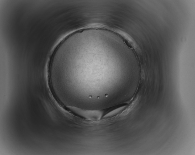 X0000099981430200806131350