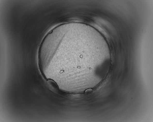 X0000099981431200806131350