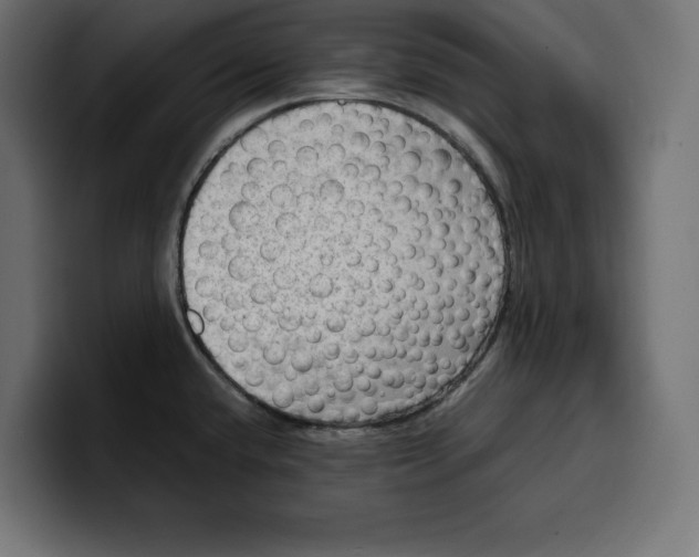 X0000099981432200806131350