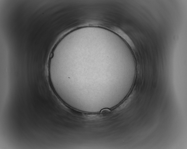 X0000099981436200806131350