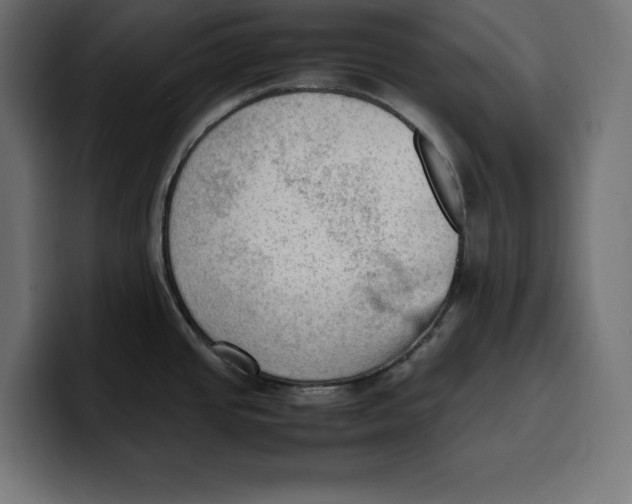 X0000099981437200806131350