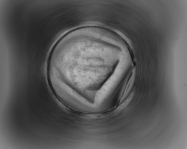 X0000099981438200806131350