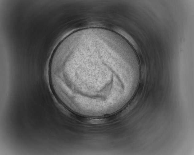 X0000099981439200806131350