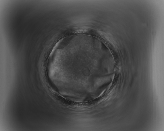 X0000099981441200806131350