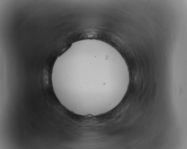 X0000099981442200806131350