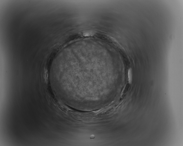 X0000099981443200806131349