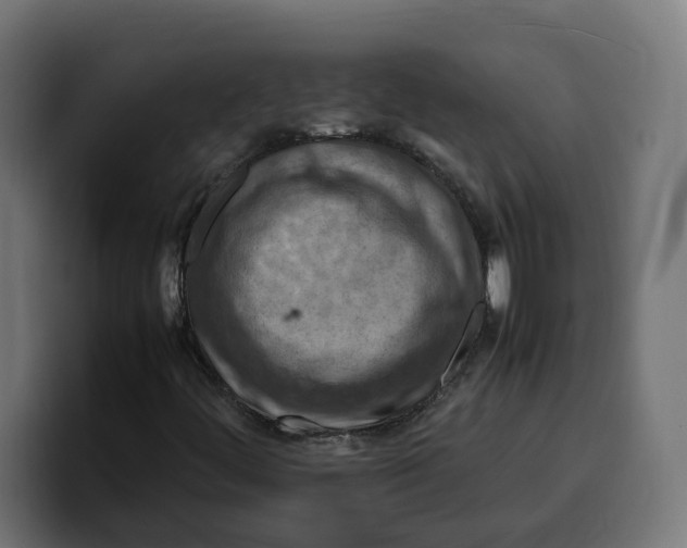 X0000099981444200806131349