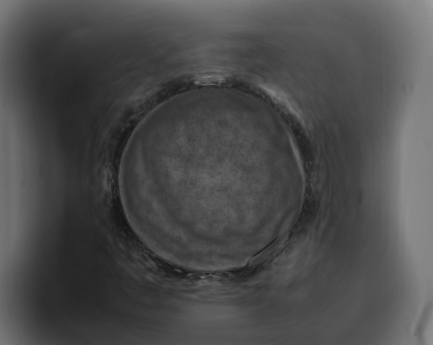 X0000099981445200806131349