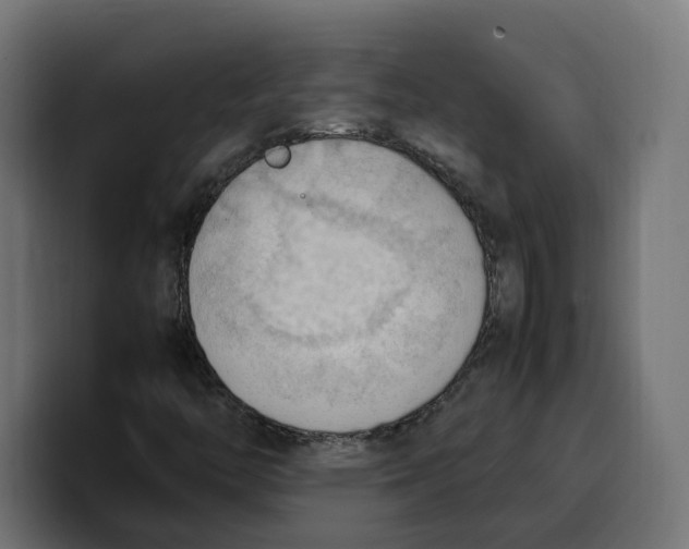 X0000099981446200806131349