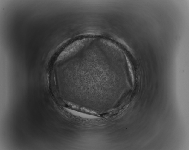 X0000099981448200806131349